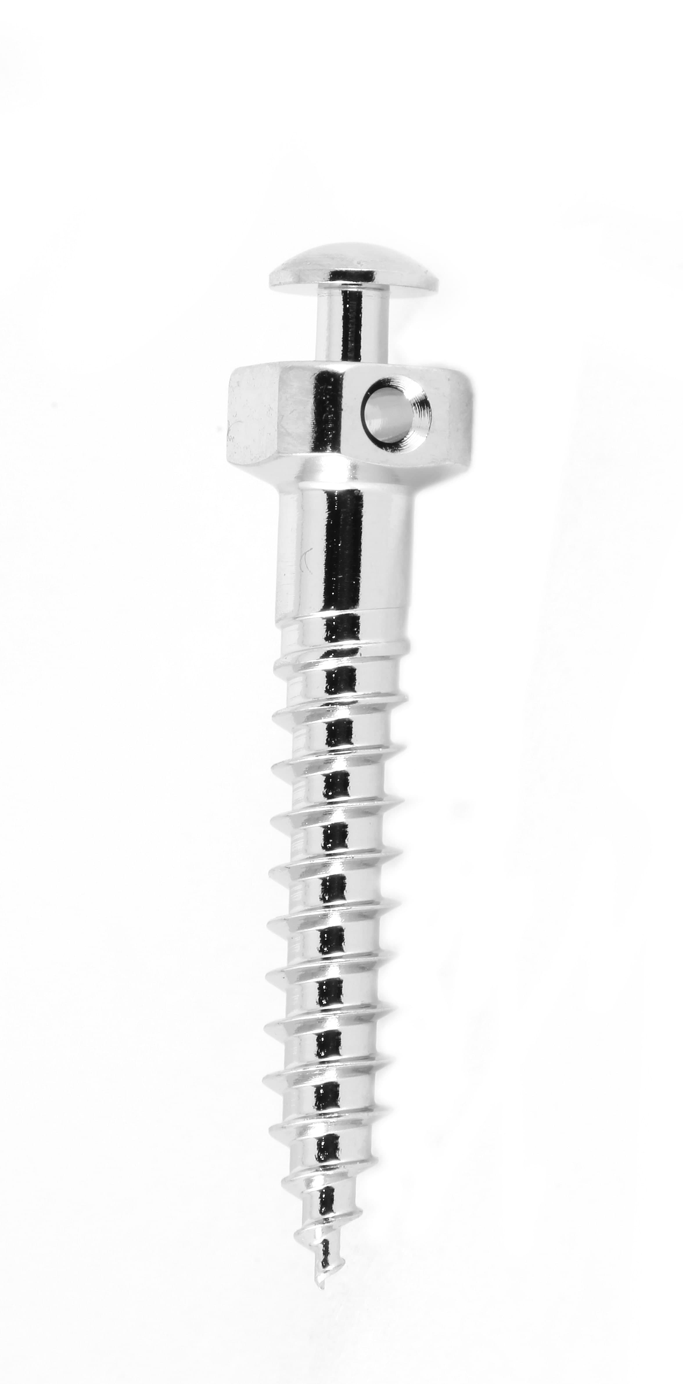 MICRO TORNILLO 2.0 X 10 MM 1 PIEZA