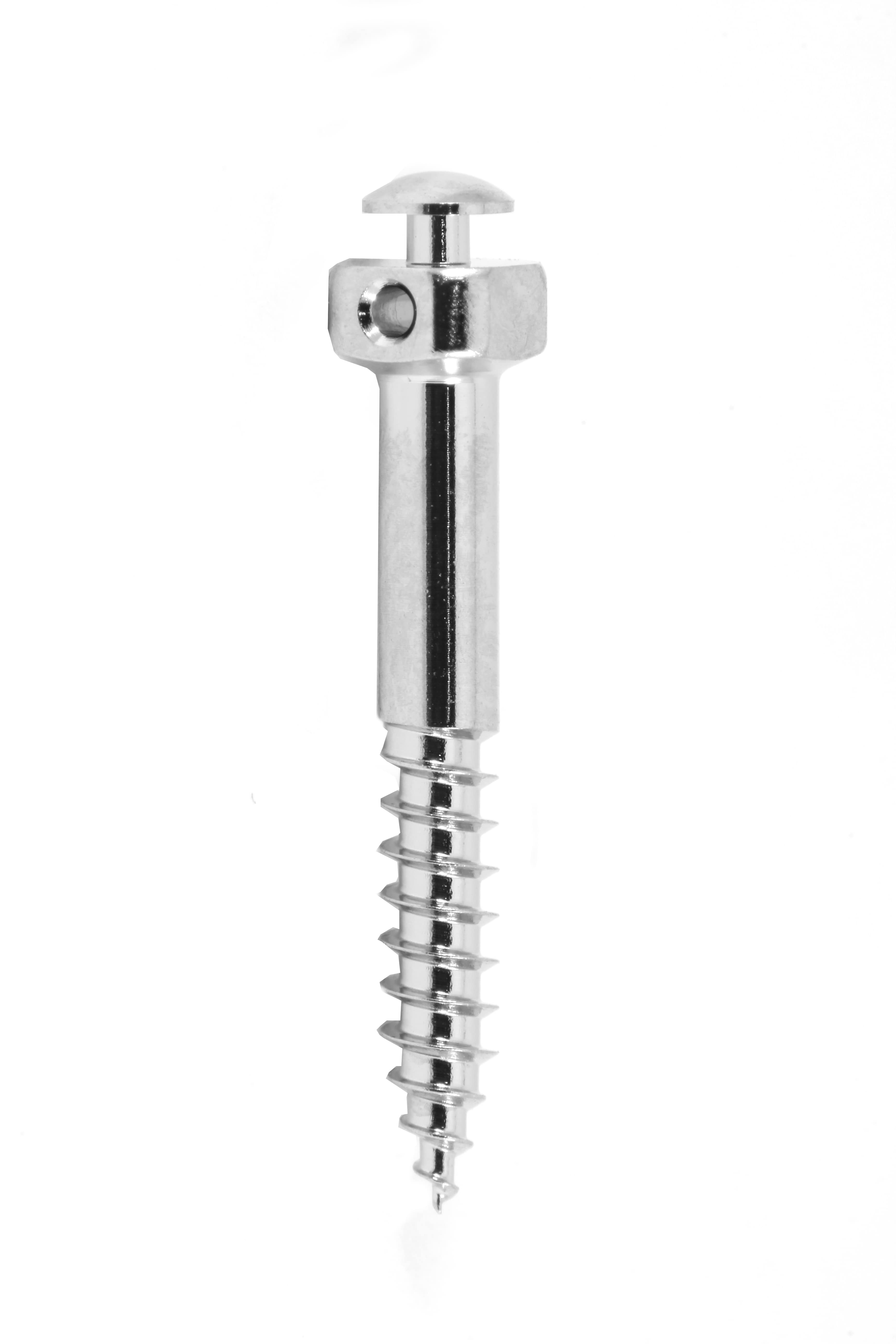 MICRO TORNILLO IZC 2X17 MM (PERFIL TRANSMUCOSO) 1 PIEZA