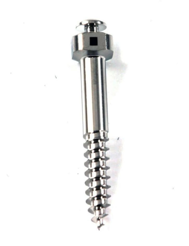 MICRO TORNILLO ORIFICIO RECTANGULAR IZC 2X14 (PERFIL TRANSMUCOSO) 1 PIEZA
